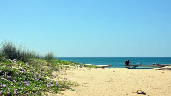 Sanguthurai Beach