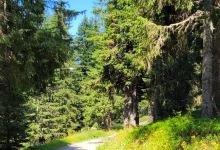 La Ferme de Seraussaix景点图片