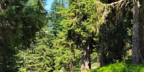 La Ferme de Seraussaix