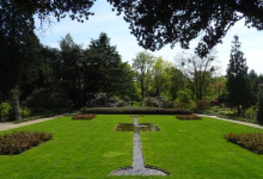 Arboretum de Dreijen景点图片