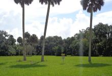 River City Nature Park景点图片