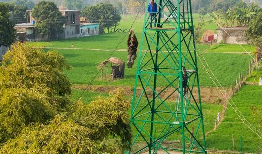 Go Wild Adventure Park
