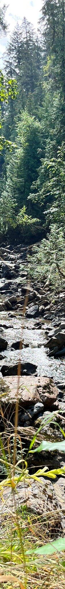 Chase Creek Falls-汤普森-尼古拉