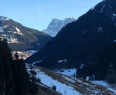 Parc à Daims