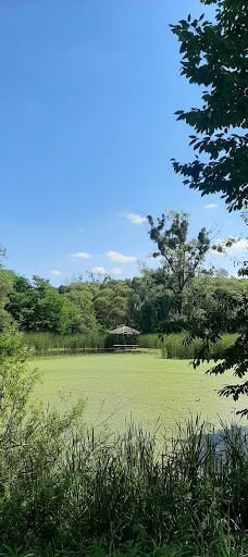 Park-Zhytomyrs'ka city council