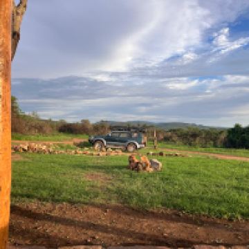 尼亚加塔雷县图片