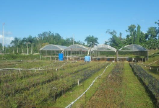 Pastales Park景点图片