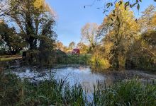 Montgomery Canal - Wern Claypit Nature Reserve景点图片