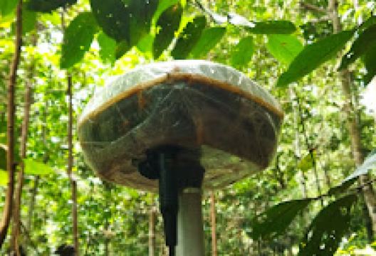 Makam Tun Mamat景点图片