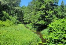 Ruisseau d'Ozon景点图片