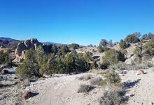 Basin and Range National Monument景点图片
