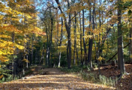 Durling Park景点图片