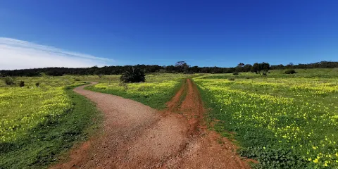 Cobbler Creek Recreation Park
