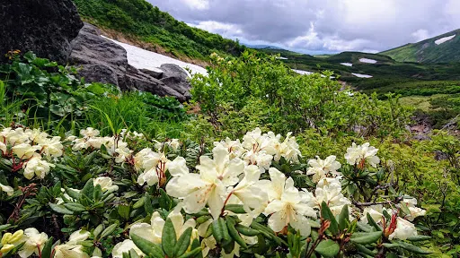 中嶽溫泉