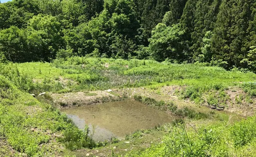 わらはんどの森