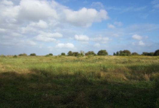 Thanet Countryside Trust景点图片