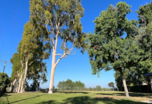 Orville Lewis Jr Park景点图片