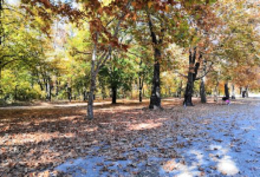 “Maritza” Park景点图片