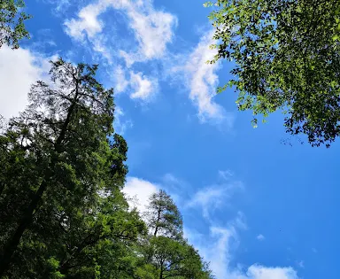 七家灣溪
