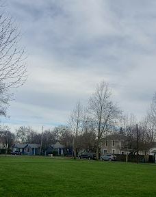 Swanson Park-奥尔巴尼