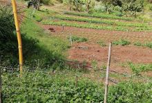 Finca Los Meros景点图片