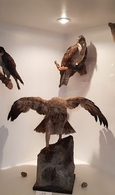 Regionalni Muzeum V Teplicich-特普利采