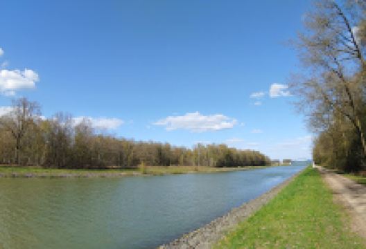 "Venner Moor" Nature Reserve景点图片