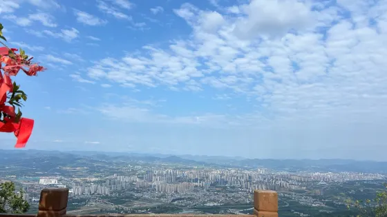 鯉魚山