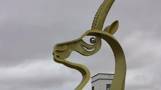 巴斯公卡藏羚羊保護區