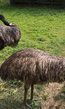 Zoo Kosice-科希策1区