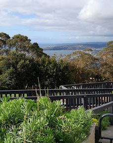 Arthurs Seat Eagle - Summit Station-德罗马纳