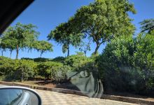 Parque Olivar de Quintos景点图片