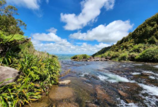 Wairere Falls Trail Head景点图片