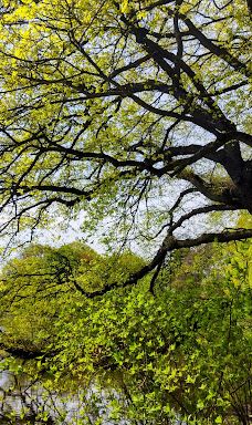 Stadt Park-开姆尼茨