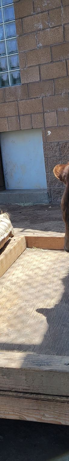 大熊湖动物园-大熊湖