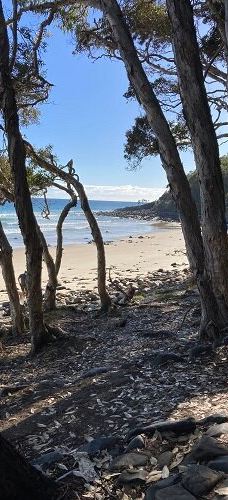 努沙国家公园-努萨角