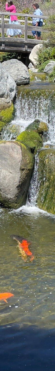 Japanese Friendship Garden & Museum-圣地亚哥