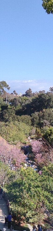 Japanese Friendship Garden & Museum-圣地亚哥