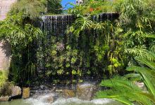 Jardim Japones de Fortaleza景点图片