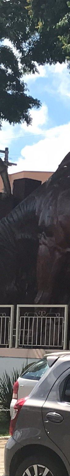 Boy Monument Porteira-Ouro Fino