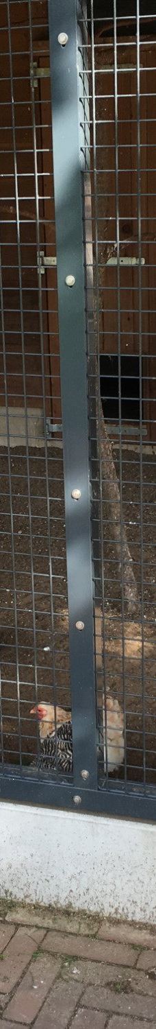 Park De Wezenlanden-兹沃勒