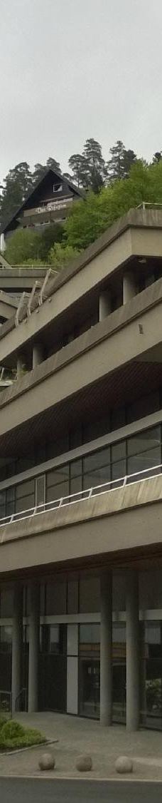 巴特维尔德巴特