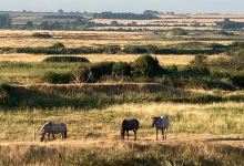 Holme Dunes National Nature Reserve景点图片