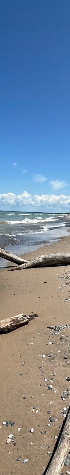 Pinery Provincial Park-大本德