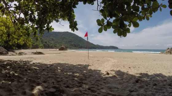 Antigos E Antiguinhos Beach