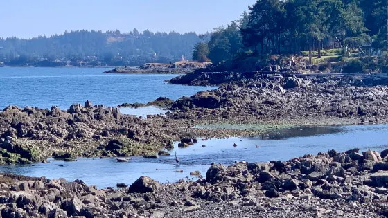 Moorecroft Regional Park