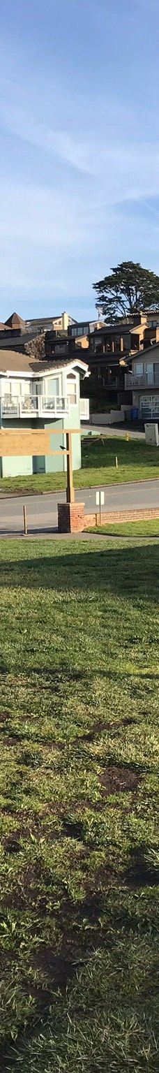 Shamel Park-坎布里亚