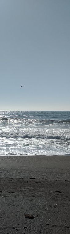 Shamel Park-坎布里亚