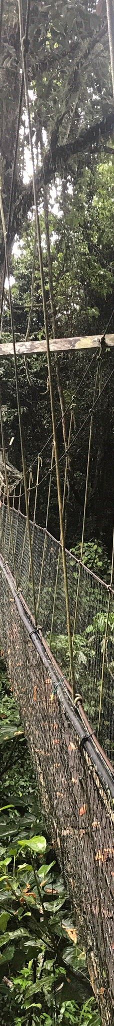 Mulu Skywalk-马鲁迪