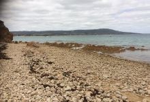 Pebble Beach景点图片